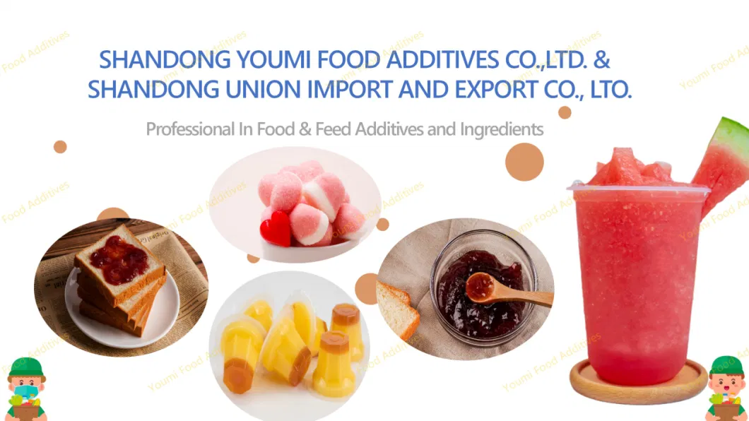 Food Additive Sweeteners Dextrose Monohydrate/Dextrose Anhydrous /Glucose Powder with Best Price